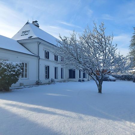Isneauville Manoir De L'As De Trefle B&B 외부 사진